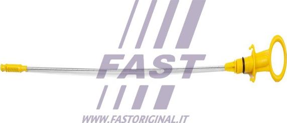 Fast FT80325 - Указатель уровня масла autosila-amz.com