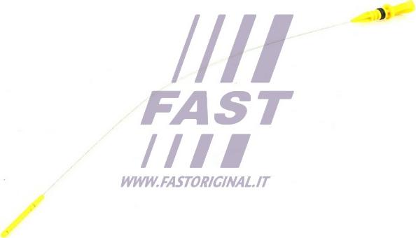 Fast FT80320 - Указатель уровня масла autosila-amz.com