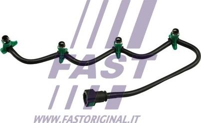 Fast FT39553 - Топливный шланг autosila-amz.com