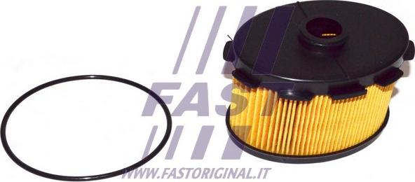 Fast FT39078 - Топливный фильтр autosila-amz.com