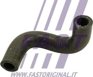 Fast FT38502 - Масляный шланг autosila-amz.com