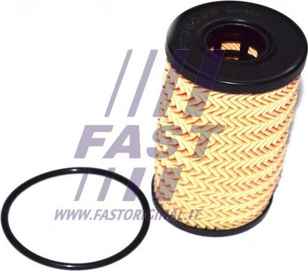 Fast FT38095 - Масляный фильтр autosila-amz.com