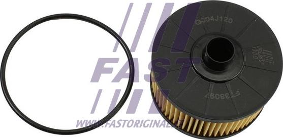 Fast FT38097 - Масляный фильтр autosila-amz.com