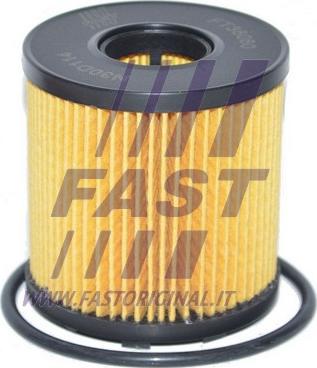 Fast FT38060 - Масляный фильтр autosila-amz.com