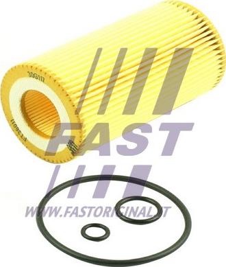 Fast FT38011 - Масляный фильтр autosila-amz.com
