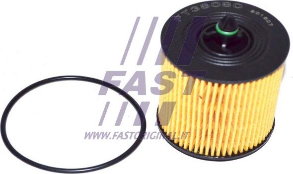 Fast FT38080 - Масляный фильтр autosila-amz.com