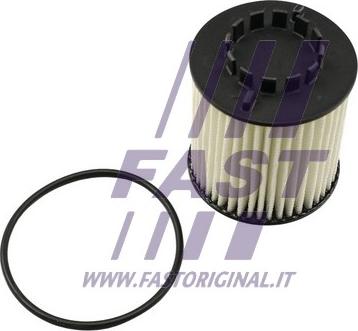 Fast FT38023 - Масляный фильтр autosila-amz.com