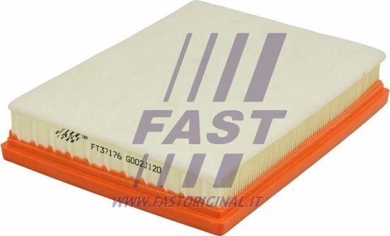 Fast FT37176 - Воздушный фильтр, двигатель autosila-amz.com
