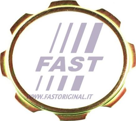 Fast FT26040 - Подкладная пластина, фланец приводного вала autosila-amz.com