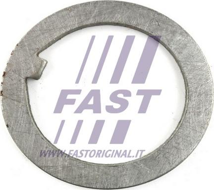 Fast FT26038 - Подкладная пластина, фланец приводного вала autosila-amz.com