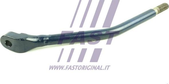 Fast FT20123 - Стабилизатор, ходовая часть autosila-amz.com
