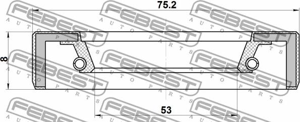 Febest 95FBY-55750808X - Уплотняющее кольцо, ступица колеса autosila-amz.com