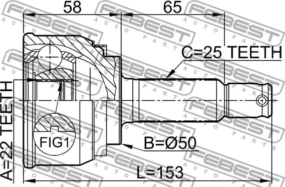 Febest 0410-001 - ШРУС НАРУЖНЫЙ 22x50x25 (MITSUBISHI LANCER/COLT C51A-C77A 1988-1995) FEBEST autosila-amz.com