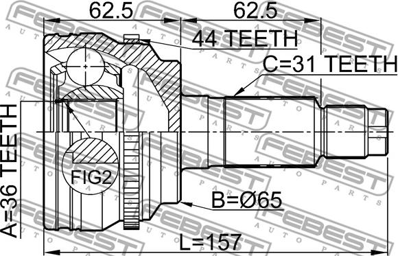 Febest 0510-CX7A44 - ШРУС НАРУЖНЫЙ 36x65x31 (MAZDA 6 GG 2002-2007) FEBEST autosila-amz.com