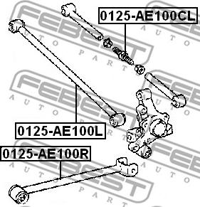 Febest 0125-AE100CL - Рычаг подвески колеса autosila-amz.com