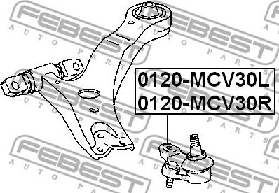 Febest 0120-MCV30R - ОПОРА ШАРОВАЯ НИЖНЯЯ ПРАВАЯ (TOYOTA CAMRY ACV3#/MCV3# 2001-2006) FEBEST autosila-amz.com