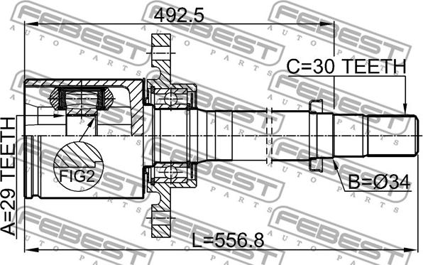 Febest 0211-T31ATRH - ШРУС ВНУТРЕННИЙ ПРАВЫЙ 29X34X30 0211-T31ATRH autosila-amz.com