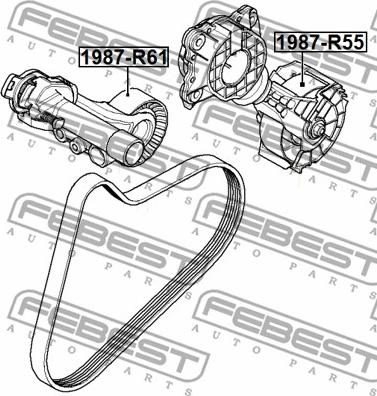 Febest 1987-R55 - РОЛИК НАТЯЖНОЙ MINI R55-R59 2005-2013 autosila-amz.com