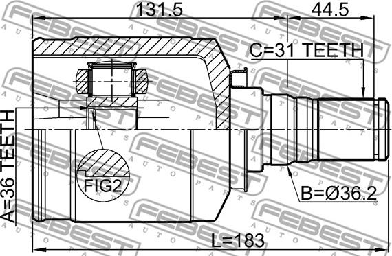 Febest 1211-IX55LH - Шрус внутренний левый 36x36.2x31 autosila-amz.com