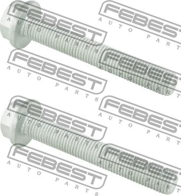 Febest 2098-001-PCS2 - Болт крепления, рычаг autosila-amz.com