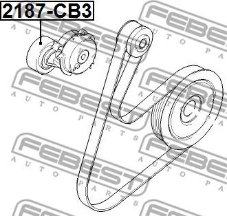 Febest 2187-CB3 - Ролик поликл.ремень (без натяжителя) FORD FOCUS II CB4 2008-2011 autosila-amz.com