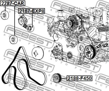 Febest 2187-EXPII - Ролик, поликлиновый ремень autosila-amz.com