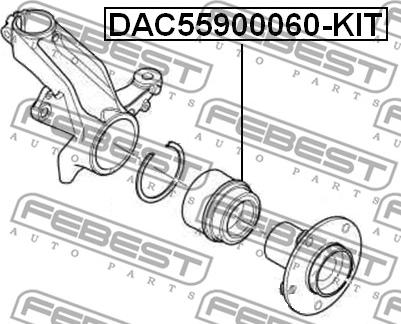 Febest DAC55900060-KIT - Подшипник ступичный передний (55x90x60) ремкомплект (fiat ducato russia 2008-) autosila-amz.com
