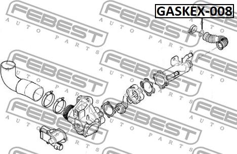 Febest GASKEX-008 - Уплотнительное кольцо, труба выхлопного газа autosila-amz.com