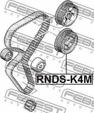 Febest RNDS-K4M - ШКИВ РЕГУЛЯТОРА ФАЗЫ ГАЗОРАСПРЕДЕЛЕНИЯ K4M RENAULT CLIO III 2005-2012 autosila-amz.com