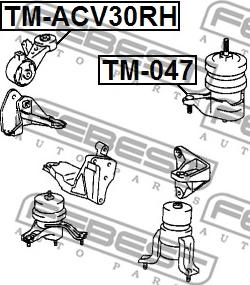 Febest TM-ACV30RH - Подушка двигателя правая TOYOTA CAMRY ACV3#/MCV3# 2001-2006 autosila-amz.com