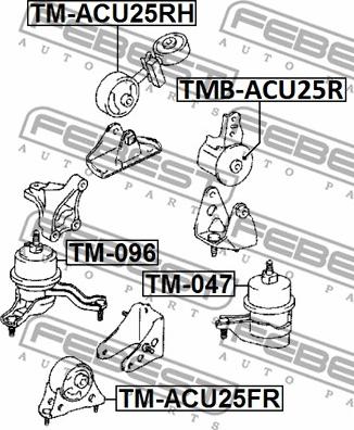 Febest TMB-GSU45RR - Подушка, опора, подвеска двигателя autosila-amz.com