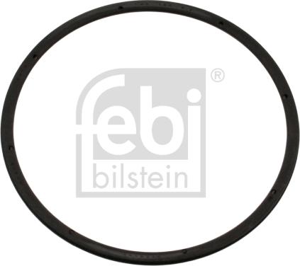 Febi Bilstein 45378 - Уплотняющее кольцо, сальник, ступица колеса autosila-amz.com