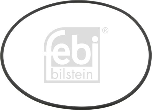 Febi Bilstein 09923 - Уплотняющее кольцо, ступица колеса autosila-amz.com