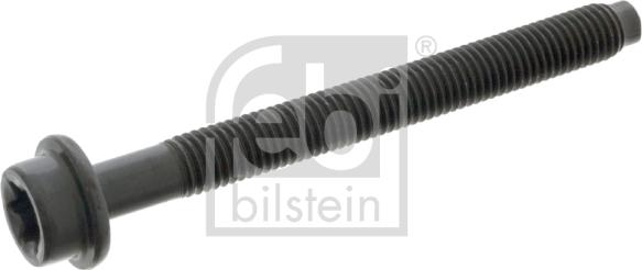 Febi Bilstein 05541 - Болт головки цилиндра autosila-amz.com