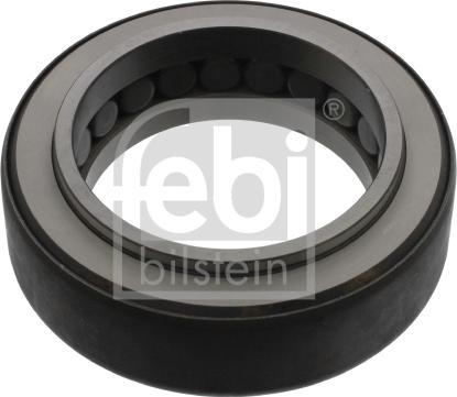 Febi Bilstein 15860 - Подшипник, шейка оси autosila-amz.com