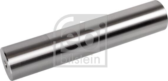 Febi Bilstein 109531 - Шкворень поворотного кулака autosila-amz.com