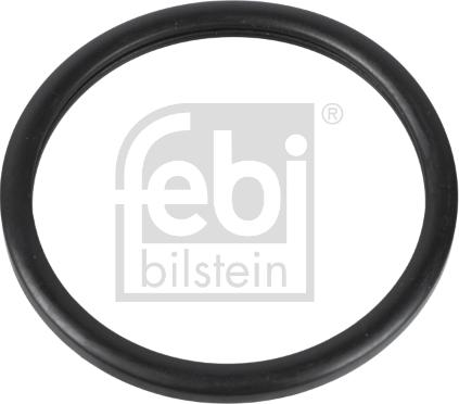 Febi Bilstein 10255 - Прокладка, термостат autosila-amz.com
