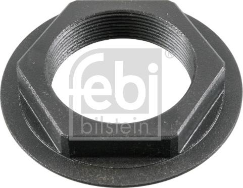 Febi Bilstein 181119 - Гайка, шейка оси autosila-amz.com