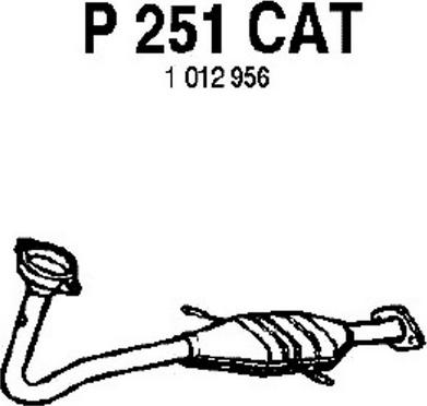 Fenno P251CAT - Катализатор autosila-amz.com