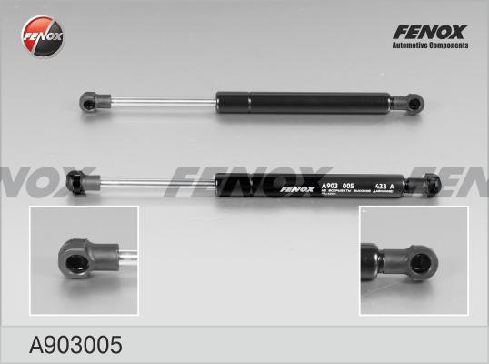 Fenox A903005 - Газовая пружина, упор autosila-amz.com