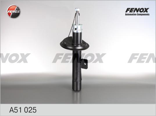 Fenox A51025 - Амортизатор autosila-amz.com