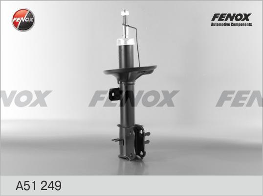 Fenox A51249 - Амортизатор autosila-amz.com