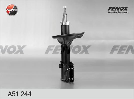 Fenox A51244 - Амортизатор autosila-amz.com