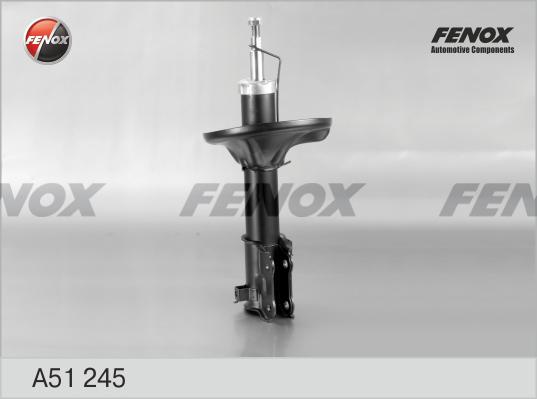 Fenox A51245 - Амортизатор autosila-amz.com