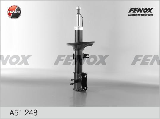 Fenox A51248 - Амортизатор autosila-amz.com