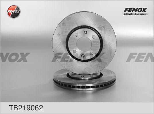 Fenox TB219062 - Тормозной диск autosila-amz.com