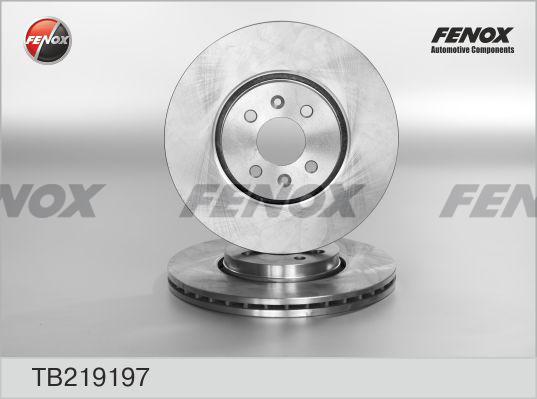 Fenox TB219197 - Тормозной диск autosila-amz.com