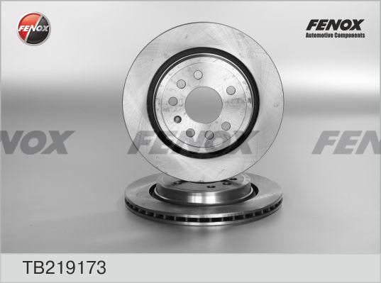 Fenox TB219173 - Тормозной диск autosila-amz.com
