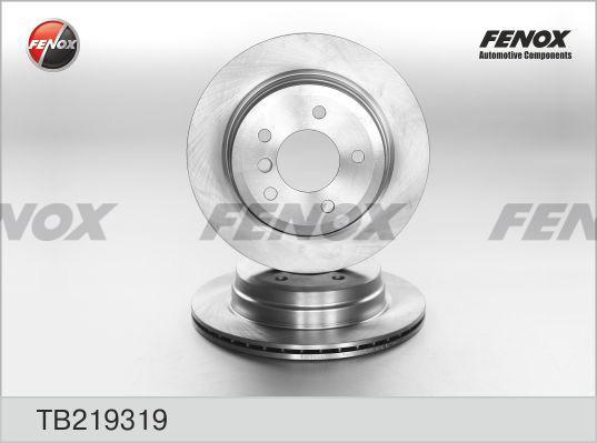 Fenox TB219319 - Тормозной диск autosila-amz.com