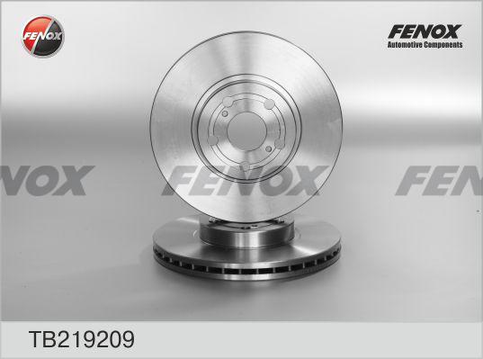 Fenox TB219209 - Тормозной диск autosila-amz.com